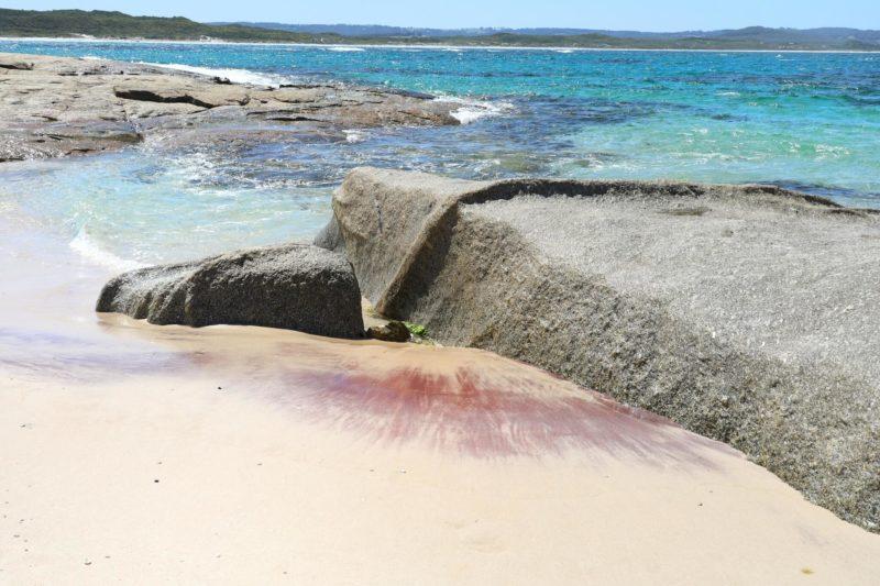Parry beach a sud del western australia