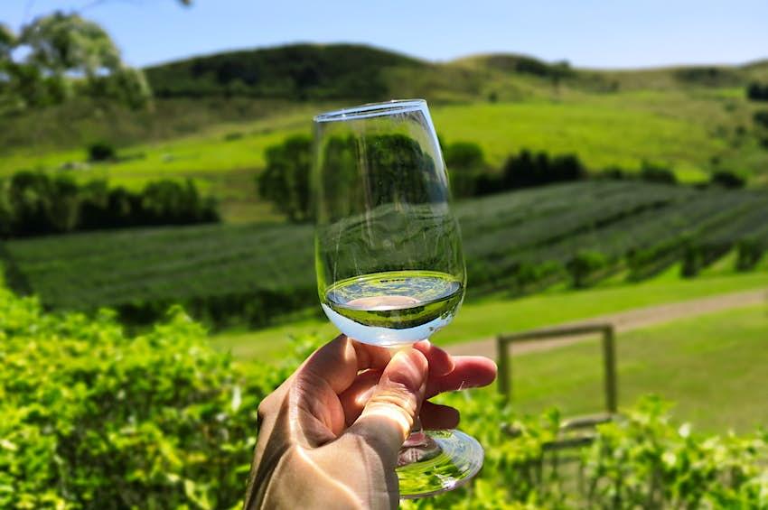 Une personne buvant du vin à l'extérieur sur l'île de Waiheke près d'Auckland